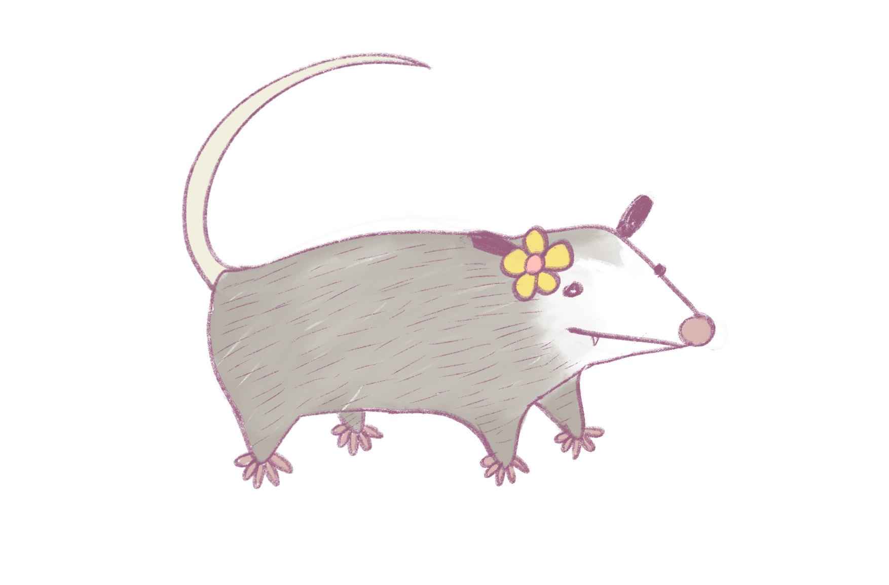 Possum with Flower